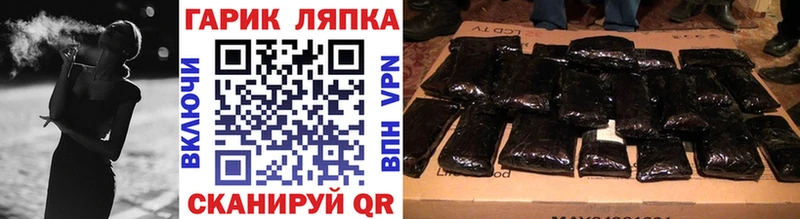 что такое   Шенкурск  ГАШ Изолятор 