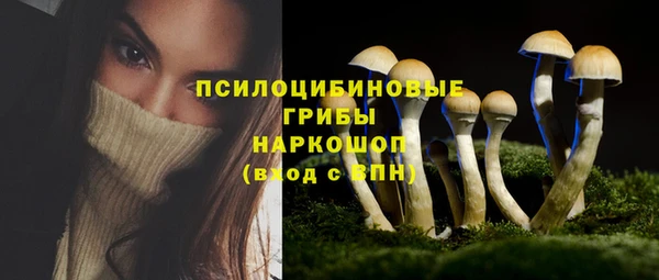 метадон Медногорск