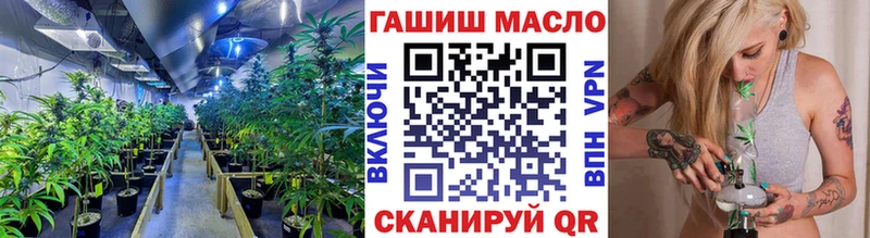 ТГК Wax  Шенкурск 