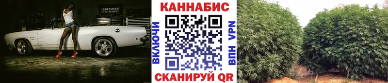 где продают   Шенкурск  Бошки Шишки тримм 